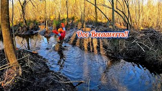 Can U Hear That Beavers! 😅 || Beaver Dam Removal In Gator Creek! S5 EP.16!