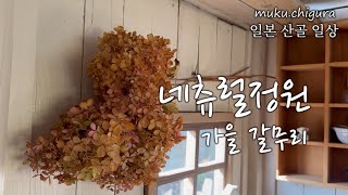 내년을 준비하는 가을 꽃마당/달리아 구근캐기 보관/일본산골일상/ SlowLife/muku・chi蔵 :