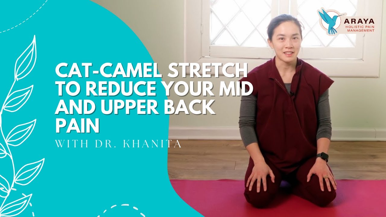 Cat Camel Stretch To Reduce Your Low Back Pain - YouTube