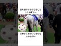 ゴールドシップの面白い雑学2 競馬 shorts