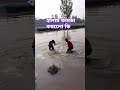 প্রচন্ড ঠান্ডার কারণে দুই পাগলের কান্ড দেখুন মজা পাবেন