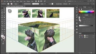 How to Apply Photos to the Perspective Grid Planes in Adobe Illustrator