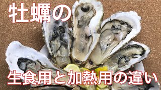 牡蠣の生食用と加熱用の違いについて