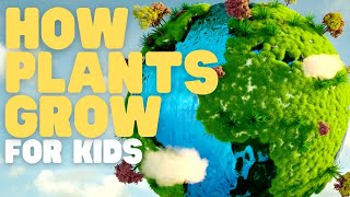How Plants Grow for Kids | Learn about photosynthesis and what plants need to grow strong