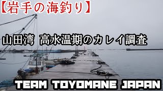 【岩手の海釣り】山田湾 高水温期のカレイ調査