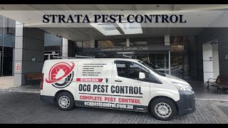 Strata Pest Control OCG Strata Pest Control - Comprehensive Pest Management with OCG