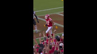 Travis Kelce Catches for a 3-yard Touchdown vs. Chicago Bears