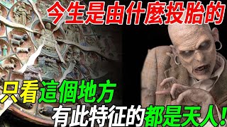 輪迴轉世秘密大揭露：只要看身上這個地方，就知道你今生是由什麼投胎的！這個特征的都是天人！#聽佛