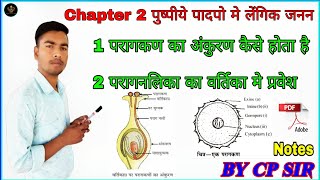 Chapter 2 पादपो मे लेंगिक जनन | परागकण का अंकुरण कैसे होता है | Germination Of pollengrain class 12