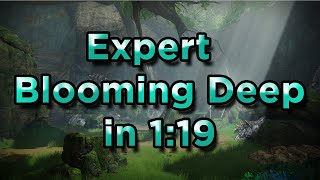 Expert Blooming Deep in 1:19 on Titan (Heresy)