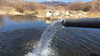 DWR restocked Utah lakes with more than 9,6 million fish in 2021