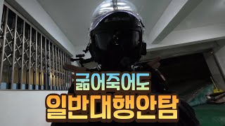 일대(일반대행)를 안타는 이유(배민커넥트 배민플러스 배플 쿠플)