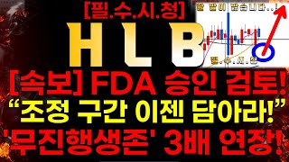 [HLB] [속보] 💥FDA 승.인.검.토.중..!💥 ✅ 간암 TAC 보조용법 \