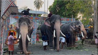 തിരുവമ്പാടി അർജ്ജുനൻ.നന്തിലത്ത് ഗോപാലകൃഷ്ണൻ. പുതുശേരി വിജയൻ 😍