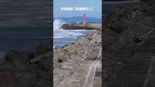 伊良湖岬に来てます。伊勢湾フェリー乗り場付近の防波堤です。波と風が強くスマホが動いてしまってます。また、曲、浜田省吾さんの歌、防波堤の上にぴったりかなと思い、また使用しました。　#海　#浜田省吾