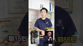 猫咪年龄和人类换算 猫咪1岁≠人类7岁，新的算法表已出炉~#库卫猫粮 #分阶段喂养 #新手养猫 #猫粮推荐 #幼猫猫粮