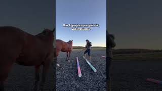 How do you place your walk /trot/ canter pole #horse #horsefunny #equestrianlife #equestriantraining