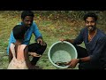 ஈச்ச மரம் வச்சி மீன் பிடிக்கலாம் world first fish trap tamilian fishing techniques 💪