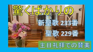 【賛美】驚くばかりの（新聖歌233番、聖歌229番）【歌詞付き】