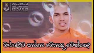 මැරුණට පස්සේ මොකද වෙන්නේ // kirulapana dammavijaya thero