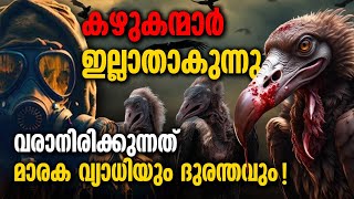 ഇന്ത്യയിൽ കഴുകന്മാരുടെ നാശം, ആരോഗ്യ പ്രതിസന്ധി ഉണ്ടാക്കുമെന്ന് പഠനം Vulture Population Decline