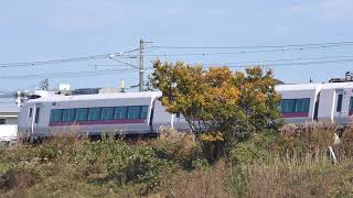 ケヤキの紅葉と特急ひたち＠宮城県岩沼市