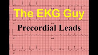 EKG/ECG Precordial Leads - Question 11.0 | The EKG Guy