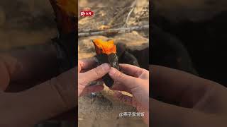 是誰的 #童年 DNA動了呀~ 烤紅薯or烤地瓜？你們那兒管🍠🍠叫什麽？ #烤紅薯 #中國