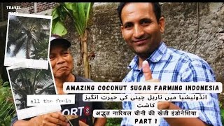 AMAZING COCONUT SUGAR FARMING INDONESIA PART 1!अद्भुत नारियल चीनी की खेती इंडोनेशिया