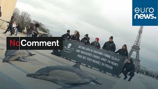 Sea Shepherd brings dead dolphins to central Paris to make their point