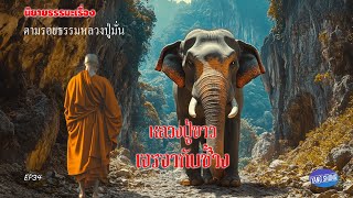 EP34 นิยายธรรมะเรื่อง ตามรอยธรรมหลวงปู่มั่น ตอน หลวงปู่ขาวเจรจากับช้าง