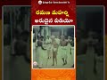 rare video of ramana maharshi రమణ మహర్షి అరుదైన వీడియో ramanamaharshi yt shorts sreesannidhitv