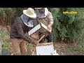 मौरी पालन सम्बन्धी तालिम लिने सुवर्ण अवसर free bee farming training in nepal