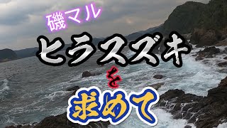 オッくん！ヒラスズキを求めて