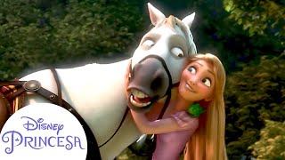 Tente Não Sorrir | Momentos Engraçados das Princesas da Disney | Disney Princesa