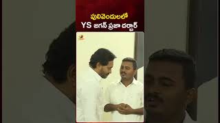 పులివెందులలో YS జగన్  ప్రజా దర్బార్ | #YSJagan | #YCP | #YTShorts | AP Politics | Mango News