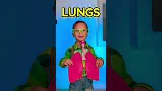 🧠 Body Secrets: Organs Inside Us!❤️ #kids #learn