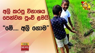 අලි කරපු විනාශය පෙන්වන පුංචි ළමයි  - Hiru News