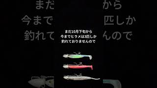 ヒラメ釣りに使ってる３種のワームの釣果成績