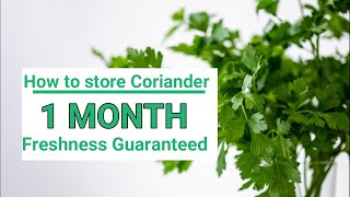 How To Store Coriander/Cilantro/Parsley leaves FRESH for 1 MONTH