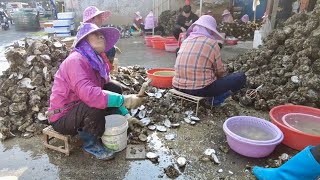 華僑之鄉海邊古鎮，遍地·海鮮，生蠔六十塊錢一斤，來沿海必吃海鮮