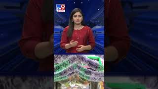 2.16 Crores of Rs.2.16 Crores for Amma to be decorated - TV9