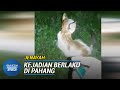 BAKAR KUCING | Polis Siasat Visual Viral Dipercayai Berlaku Di Pahang