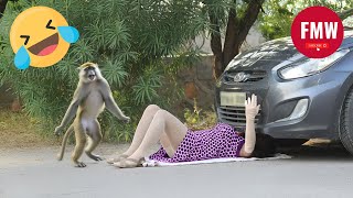 Funny \u0026 Hilarious People's Life 😂 #205 - Try not to Laugh | Instant Regret Fails Compilation 2024