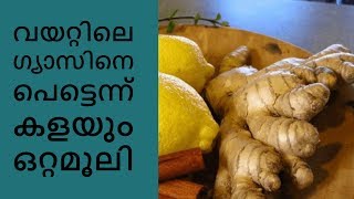 വയറ്റിലെ ഗ്യാസിനെ പെട്ടെന്ന് കളയും ഒറ്റമൂലി || Health Tips Malayalam