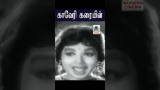 Kaaveri karaiyin காவேரி கரையின்  Vizhiyae vizhiyae விழியே விழியே TMS | Susheela