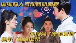 杨紫“梅林虐杀”，张晚意“原地发疯”，剧外两人互动甜如蜜糖