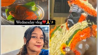 Wednesday vlog ♥️✨|| #tulunadu#kannada#kannadavlogs#daivakola#mangalore#koragajjakola#trending ✨