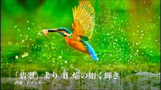 【吹奏楽】J.マッキー「翡翠(カワセミ)より 焔の如く輝き」《吹奏楽名曲セレクト》 Kingfishers Catch Fire /John Mackey