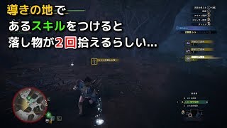 【MHW:IB】導きの地で落し物を２回拾えるスキルがあるらしい...【モンスターハンター/モンハンアイスボーン】